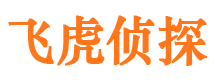 泾县市私家侦探